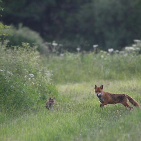 Hook Farm Cottages Royal Wootton Bassett Buitenkant foto